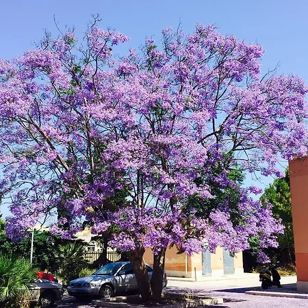 Holiday Mediterraneo Semesterbostad *